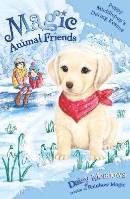 bokomslag Magic Animal Friends: Poppy Muddlepup's Daring Rescue