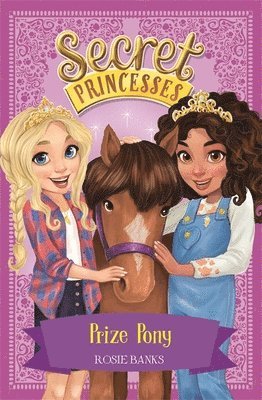bokomslag Secret Princesses: Prize Pony