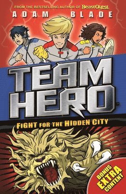 bokomslag Team Hero: Fight for the Hidden City