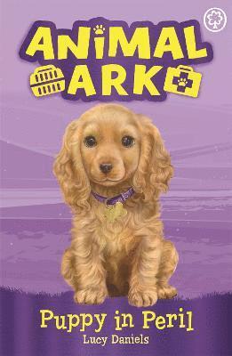 Animal Ark, New 4: Puppy in Peril 1