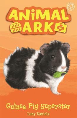 bokomslag Animal Ark, New 7: Guinea Pig Superstar