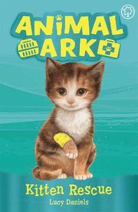 bokomslag Animal Ark, New 1: Kitten Rescue