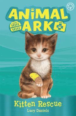 Animal Ark, New 1: Kitten Rescue 1