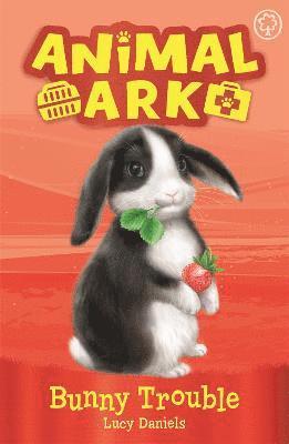 Animal Ark, New 2: Bunny Trouble 1