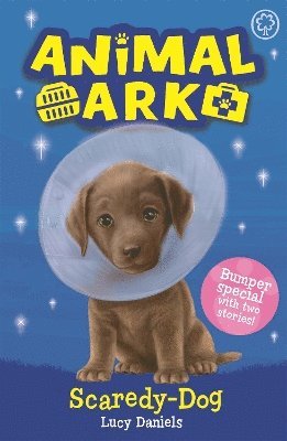 bokomslag Animal Ark, New 2: Scaredy-Dog