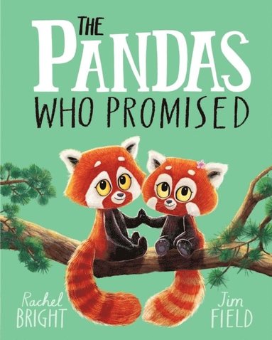 bokomslag Pandas Who Promised