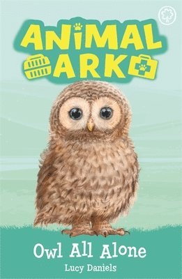bokomslag Animal Ark, New 12: Owl All Alone