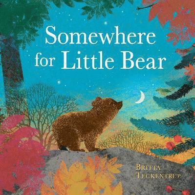 Somewhere for Little Bear 1