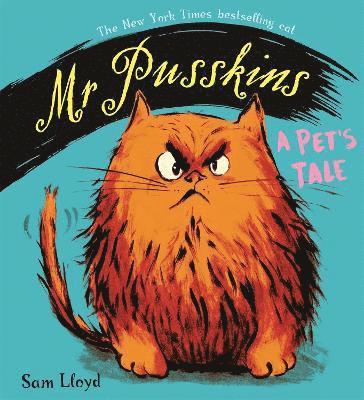 Lloyd, S: Mr Pusskins: A Pet's Tale