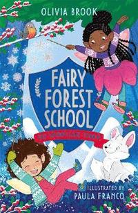 bokomslag Fairy Forest School: The Snowflake Charm