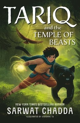 The Spiritstone Saga: Tariq and the Temple of Beasts 1