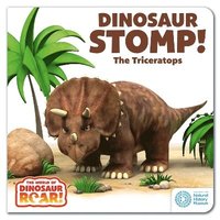 bokomslag The World of Dinosaur Roar!: Dinosaur Stomp! The Triceratops: Book 4