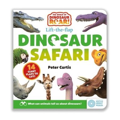 bokomslag World of Dinosaur Roar!: Dinosaur Safari: A Lift-the-Flap Book