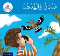 bokomslag Arabic Club Readers: Blue Band: Adnan and the Hoopoe