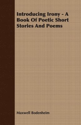 bokomslag Introducing Irony - A Book Of Poetic Short Stories And Poems