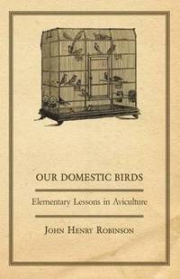 bokomslag Our Domestic Birds - Elementary Lessons In Aviculture