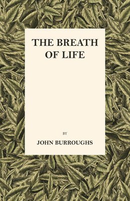bokomslag Breath Of Life