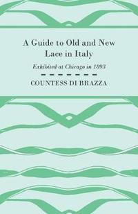 bokomslag A Guide To Old And New Lace In Italy - Exhibited at Chicago in 1893