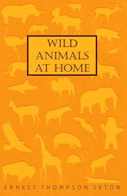 Ernest Thompson Seton - Wild Animals At Home, Häftad