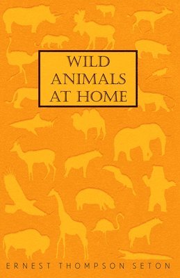 Wild Animals At Home 1