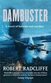 bokomslag Dambuster