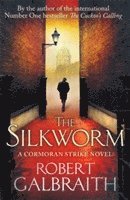 bokomslag The Silkworm