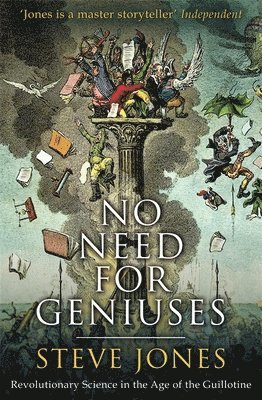 bokomslag No Need for Geniuses
