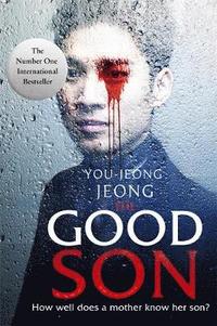 bokomslag The Good Son