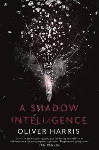 bokomslag A Shadow Intelligence
