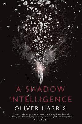 A Shadow Intelligence 1