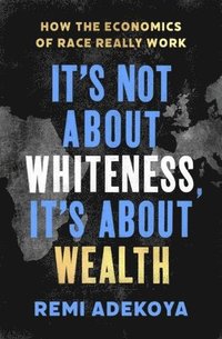 bokomslag It's Not about Whiteness, It's about Wealth: How the Economics of Race Really Work