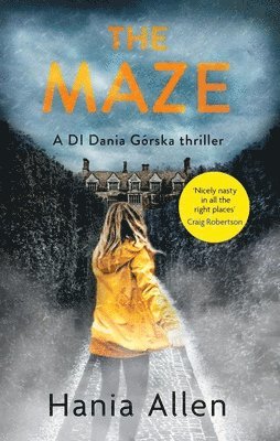 The Maze 1