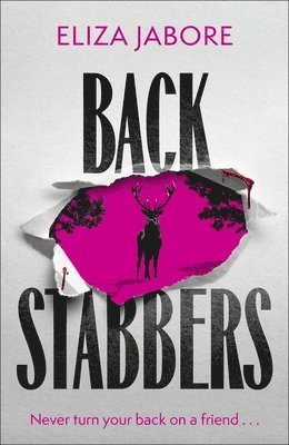 bokomslag Backstabbers