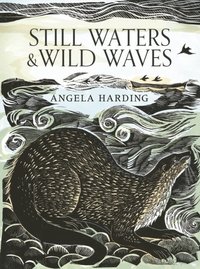 bokomslag Still Waters & Wild Waves