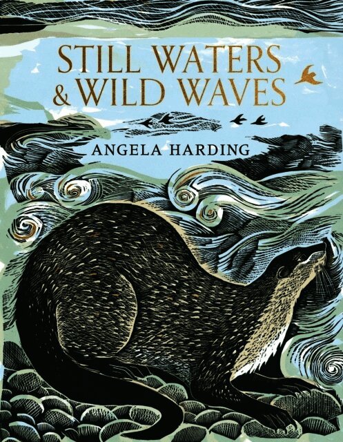 Still Waters & Wild Waves