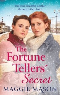 bokomslag Fortune Tellers' Secret