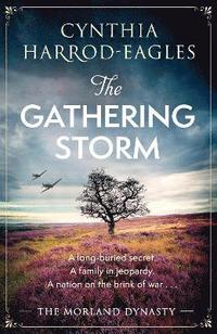 bokomslag The Gathering Storm