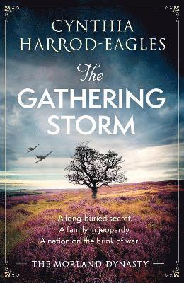 bokomslag The Gathering Storm