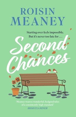 Roisin Meaney - Second Chances, Häftad