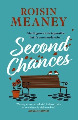 Roisin Meaney - Second Chances, Häftad