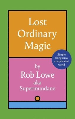 bokomslag Lost Ordinary Magic