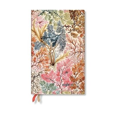 Kalender 2024-2025 Paperblanks Maxi - Anemone 1