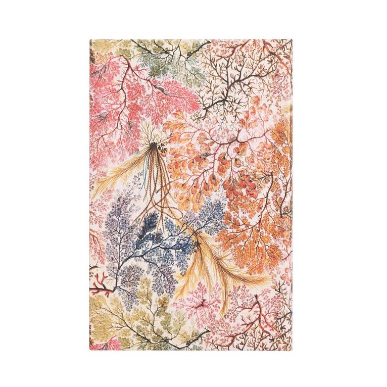 Kalender 2025 Paperblanks Midi VpU vertikal - Anemone, Övrigt