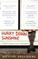 Michael Greenberg - Hurry Down Sunshine, Häftad