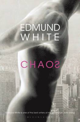 Chaos 1