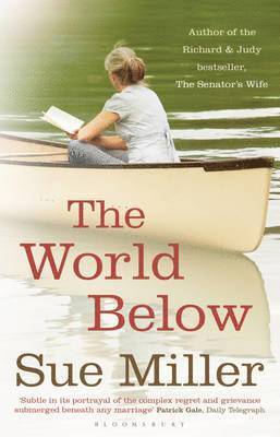 Sue Miller - World Below, Häftad