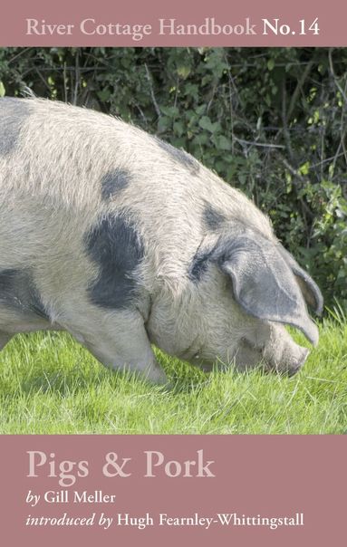 Gill Meller - Pigs & Pork, Inbunden