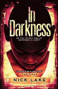 bokomslag In Darkness
