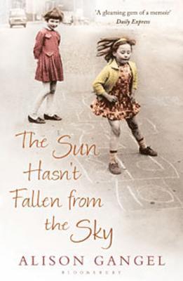 The Sun Hasn't Fallen From the Sky 1