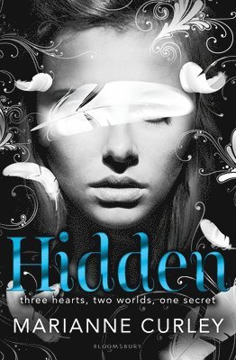 Hidden 1